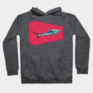 Reefshark | Big High-Light | Variation in Viva Magenta | Hoodie